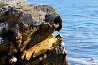 Skull in the Rock