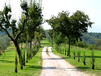 Road to Tuscany