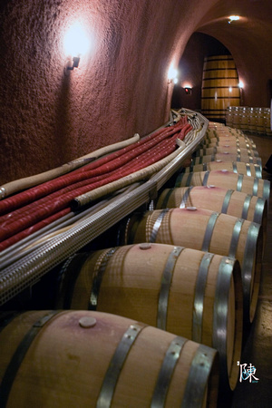 Jarvis Winery - Wine Storage
