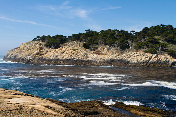 Point Lobos Cove