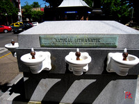 Natural Lithia Water Drinking Fountain