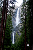 Yosemite Falls After Dusk