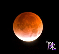 Lunar Eclipse - Aug 28, 2007