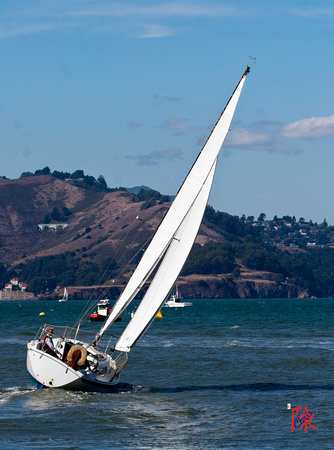 Sailing on the Bay