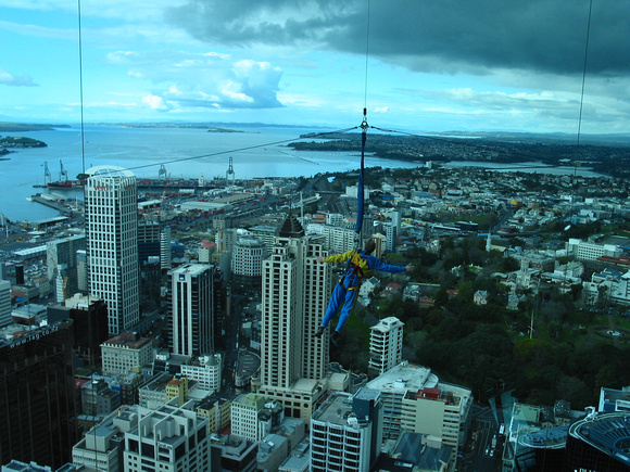 View of the harbor and city from the Skytower