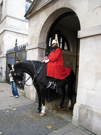 Horse Guard Parade - Guard in Front