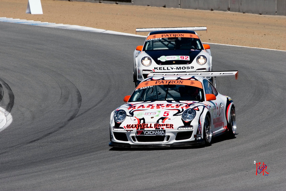 ALMS 2010 Tunr #4 Porsche 911 GT#